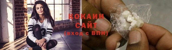 индика Армянск