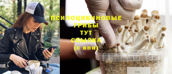 СК Алексин
