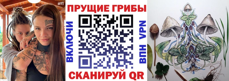 Псилоцибиновые грибы прущие грибы  наркота  Бологое 